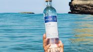 GIN FRATERNEL - Anaiak brille aux Gin Guide Awards
